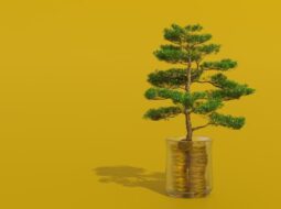 Value Creation in Private Markets