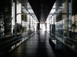From Vision to Vastness Crafting Multi-Billion Dollar Enterprises